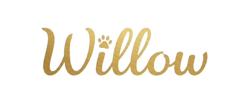 Willow